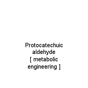 Protocatechuic aldehyde                                  [ metabolic engineering ]